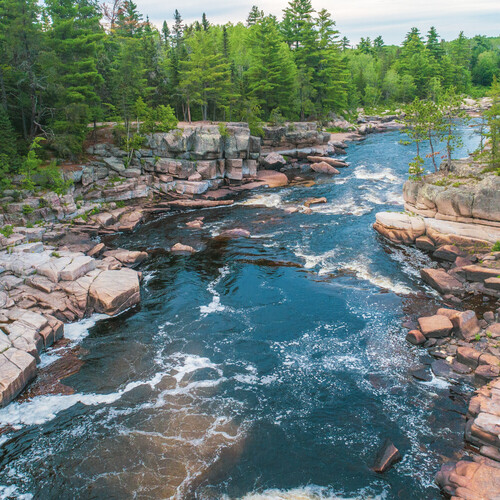 5 activités à ne pas manquer dans nos districts de services locaux | Été 2021 